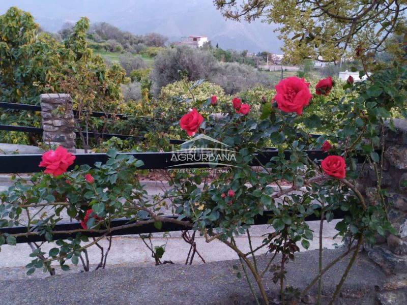 Foto 6fef6250-d3db-4bed-81a0-a18b0592dabc. Finca rústica a Órgiva