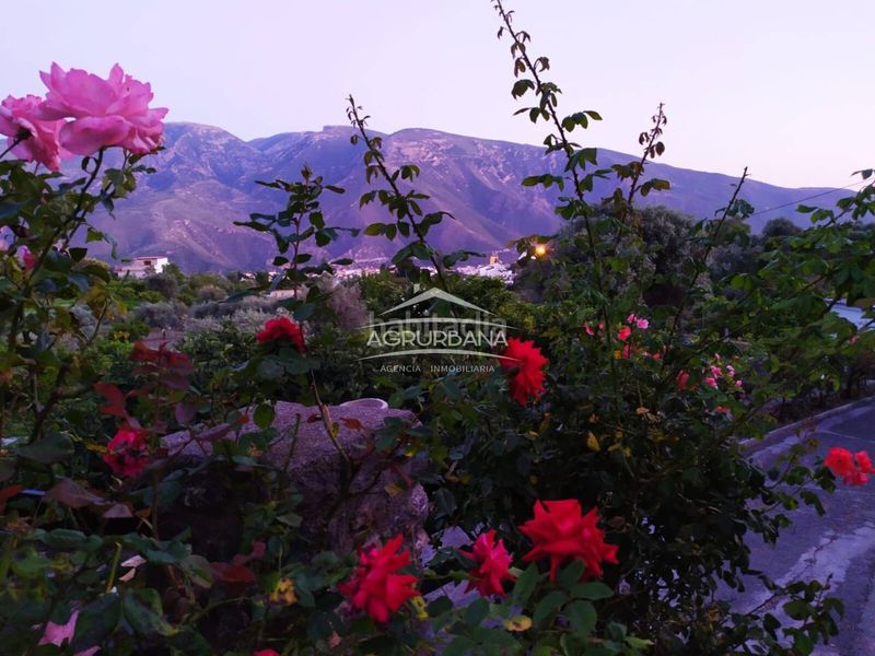 Foto a0646620-4693-482c-9ec5-2248e8a8317d. Finca rústica finca en venta con cortijo en Órgiva