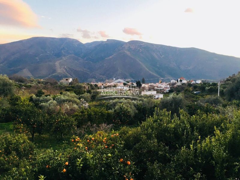 Foto ba27507d-b034-4069-8983-1d0659f5b14c. Finca rústica finca en venta con cortijo en Órgiva