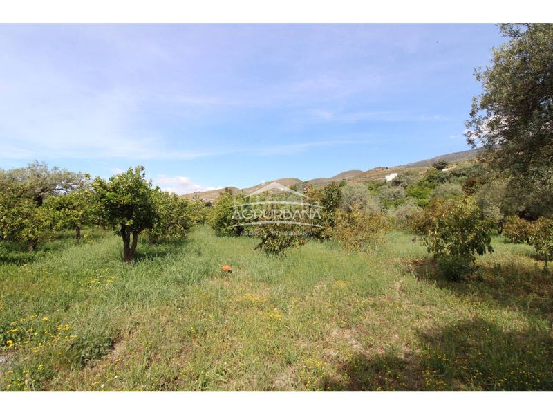 Foto c98de8c0-b7b4-45ba-8c59-2373472d7158. Finca rústica a Órgiva