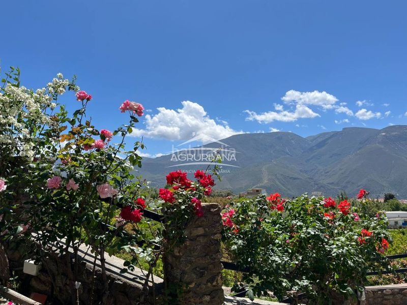 Foto e3dba016-a3f9-46ed-8088-4e933511c681. Finca rústica a Órgiva