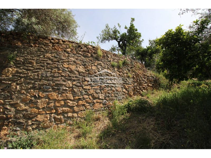 Foto f0c9fc18-a5be-4238-888b-beb563576a44. Finca rústica a Órgiva
