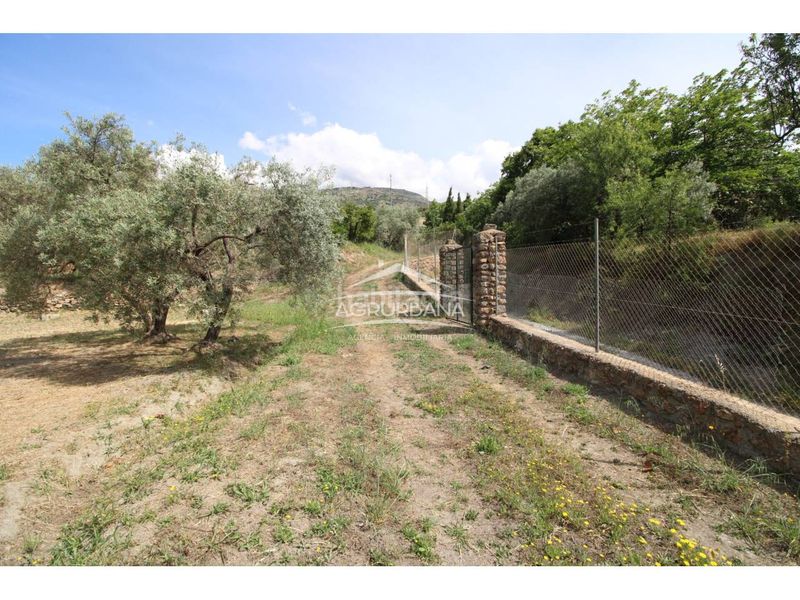 Foto f299b4f5-b49f-48a9-aafa-11ba3c02d934. Finca rústica a Órgiva