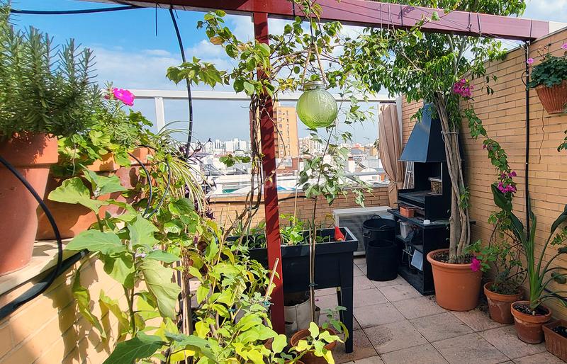 Foto 51f76f14-ad99-4e2e-ba04-c7bb3b3a245c. Dúplex amb calefacció aparcament a San Carlos - San José Sevilla