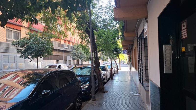 Foto 3490c0a9-2dc3-42cd-b29e-489f7fcd7c4d. Pis a Ciudad Jardín - Zoco Córdoba