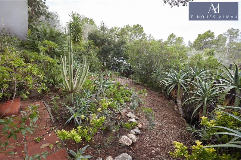 Foto f9282e86-aad2-4ea4-8449-6752d5709033. Casa amb calefacció aparcament piscina a Mas Alba Sant Pere de Ribes