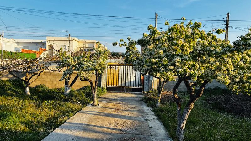 Foto d507676a-6c32-4b4d-b69f-094054b68a84. Finca rústica a Nord Vilanova i la Geltrú