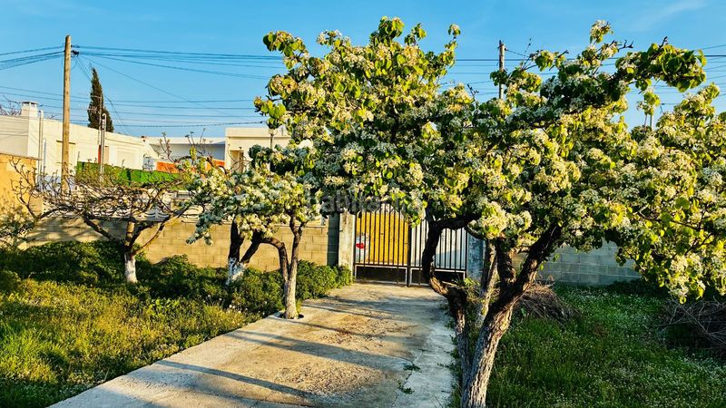 Foto f751d398-a3d6-4017-ad22-10bca4489e64. Finca rústica a Nord Vilanova i la Geltrú