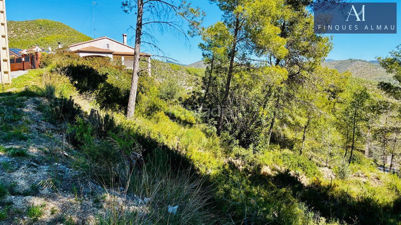 Foto a2f36902-fc63-49f7-83f2-340bdeb889eb. Terreny residencial a Olivella