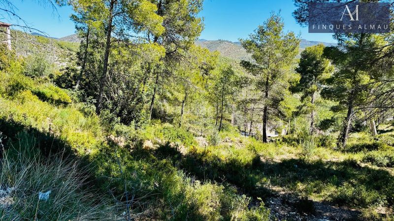 Foto a69f76ee-8fe4-4fd9-a017-b8fa120a098e. Terreny residencial a Olivella