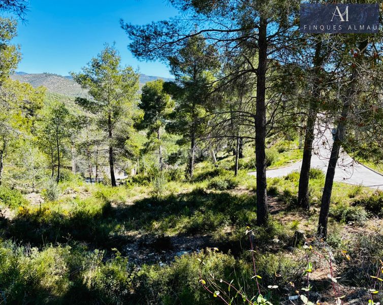 Foto be4a0b00-b0a5-4f87-b9b8-17b51d36619b. Terreny residencial a Olivella