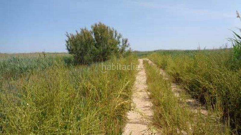 Foto a2215f96-e96b-488d-87ce-505a0e6bdfe4. Terreny residencial a Centre Tortosa