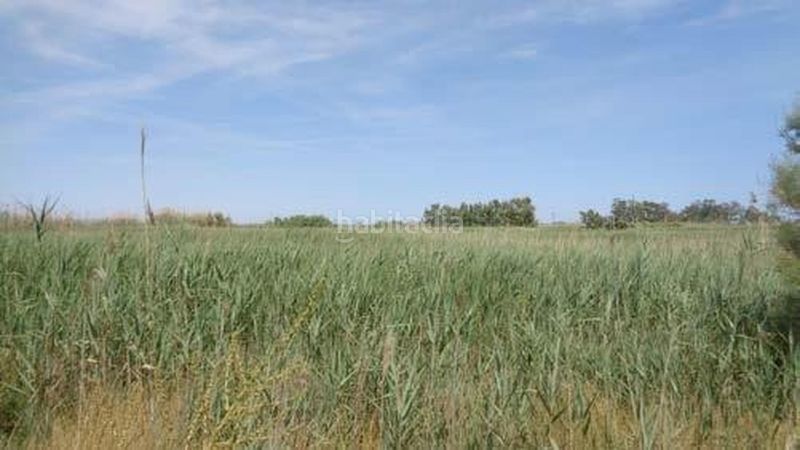 Foto dd7c5949-4d28-4c2b-a7ad-da40d08a64fb. Terreny residencial a Centre Tortosa