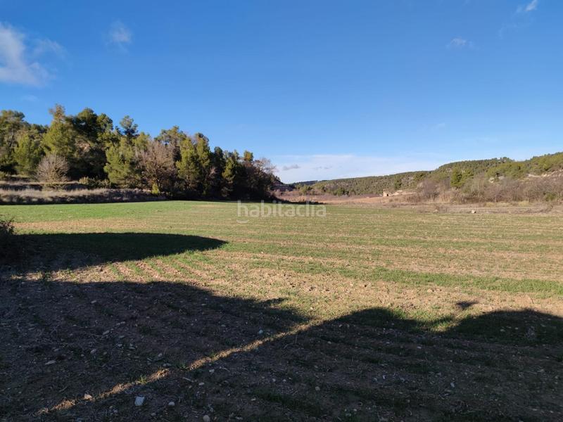 Foto 25e0ca38-e310-4576-a907-9abb8163ea00. Finca rústica a Vinaixa