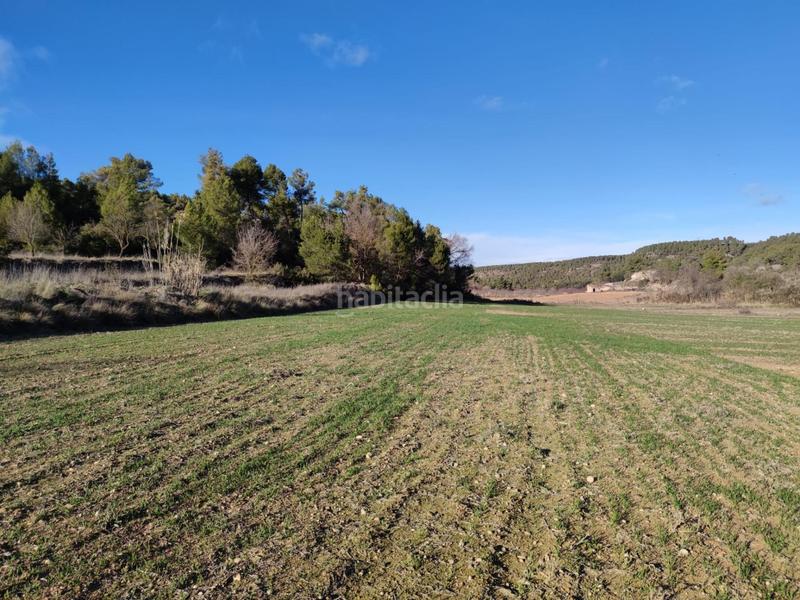 Foto f4cd931a-88c9-4ed5-928c-417b8e517ec2. Finca rústica a Vinaixa