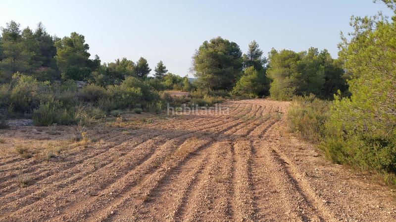 Foto 1b9e13f2-3aca-48f5-bb19-ffdf58b019f7. Rural plot in Cervià de les Garrigues