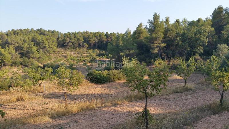 Foto 353f6460-3d02-44fb-ac50-4691781512d1. Rural plot in Cervià de les Garrigues