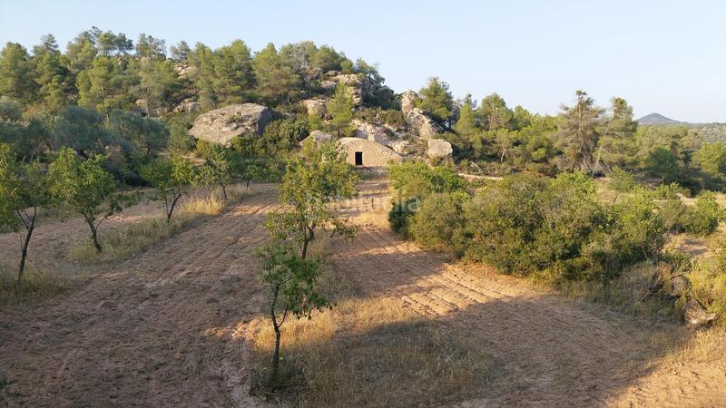 Foto 3ef68763-3a80-4f4a-8dde-df4710295cc6. Rural plot in Cervià de les Garrigues