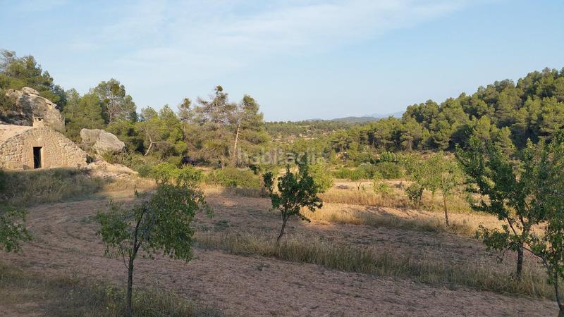 Foto 3fd0f500-b62c-4644-80a5-705724b58200. Rural plot in Cervià de les Garrigues