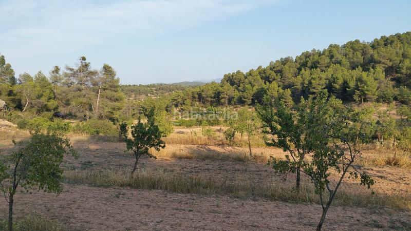 Foto 630a00a8-9330-4622-8767-7b045015fdbd. Rural plot in Cervià de les Garrigues
