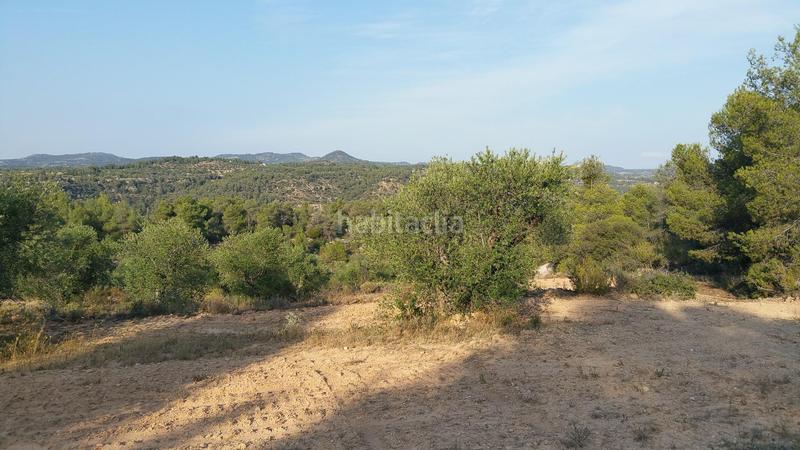 Foto 80c53173-b797-49bb-b7db-77c1e6970a07. Rural plot in Cervià de les Garrigues