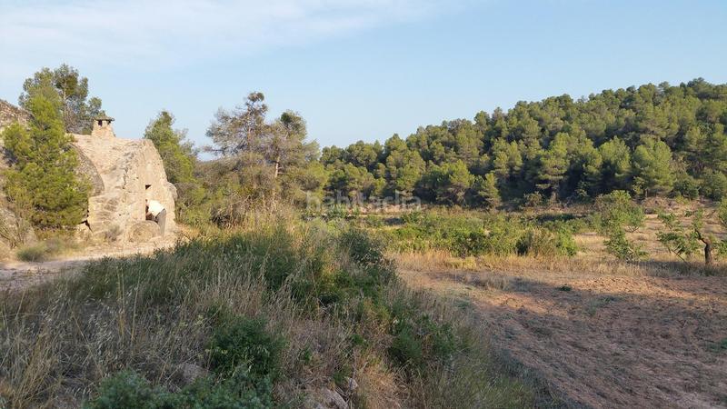 Foto 80c7a33c-cd00-4488-9c53-ce4f2043b0a6. Rural plot in Cervià de les Garrigues