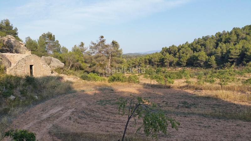 Foto 84e0fcb2-7f3f-462b-a4ea-3e129969b0a1. Rural plot in Cervià de les Garrigues