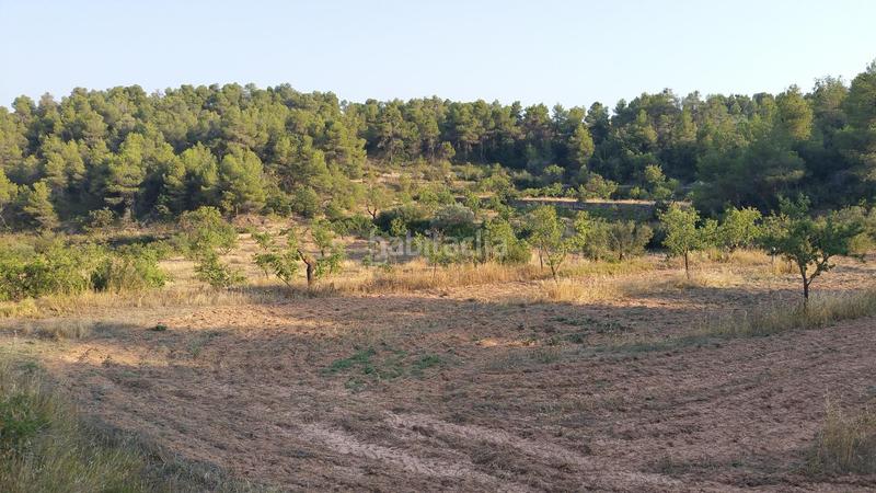 Foto 87dfc2cf-e231-4133-8495-8e8711d4cd9e. Rural plot in Cervià de les Garrigues