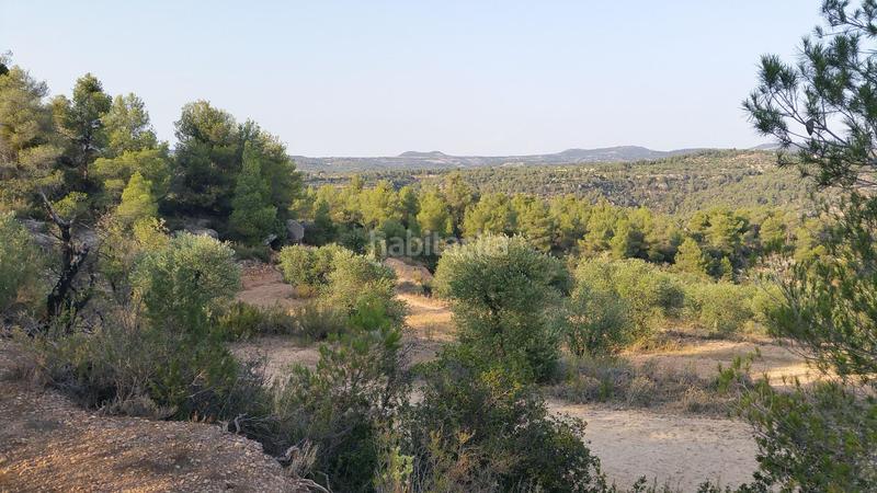 Foto a1925d96-c4cc-47fd-bfcb-906450b4e8c6. Rural plot in Cervià de les Garrigues