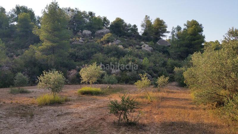 Foto a5b0b7de-6d3d-44f4-b280-fd71d1e9a12f. Rural plot in Cervià de les Garrigues