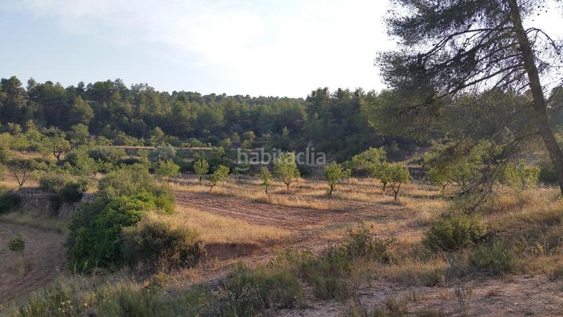 Foto b116f7d9-f583-45fe-a5aa-fc51777e293a. Rural plot in Cervià de les Garrigues