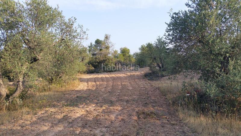 Foto b9e76c60-b1f6-4856-b5a6-a5348918d594. Rural plot in Cervià de les Garrigues