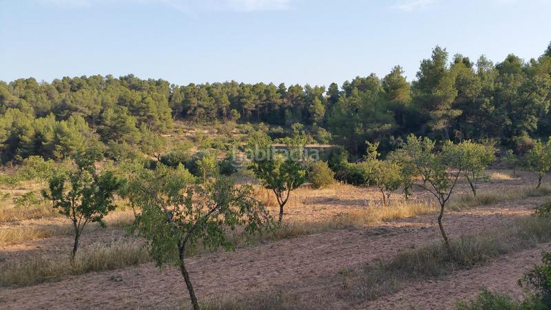 Foto df723edb-1076-4746-aaff-1f7fa7a95312. Rural plot in Cervià de les Garrigues
