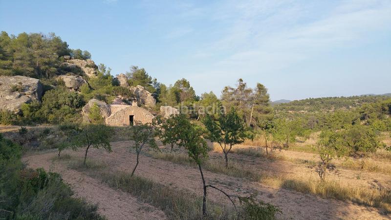 Foto fc0e3c30-222c-457c-99f0-b57ed7098590. Rural plot in Cervià de les Garrigues