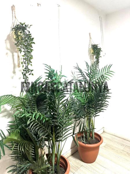 Foto aeca58cd-4698-4b00-ae7d-9a373d9bdb27. Miete geschäftsraum in Sant Joan Vilanova i la Geltrú