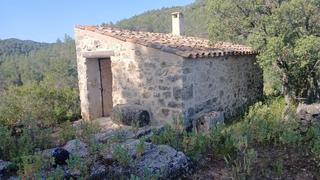 Finca rústica a Pobla de Cérvoles (La). Fabulosa finca rústica de 30 hectáreas