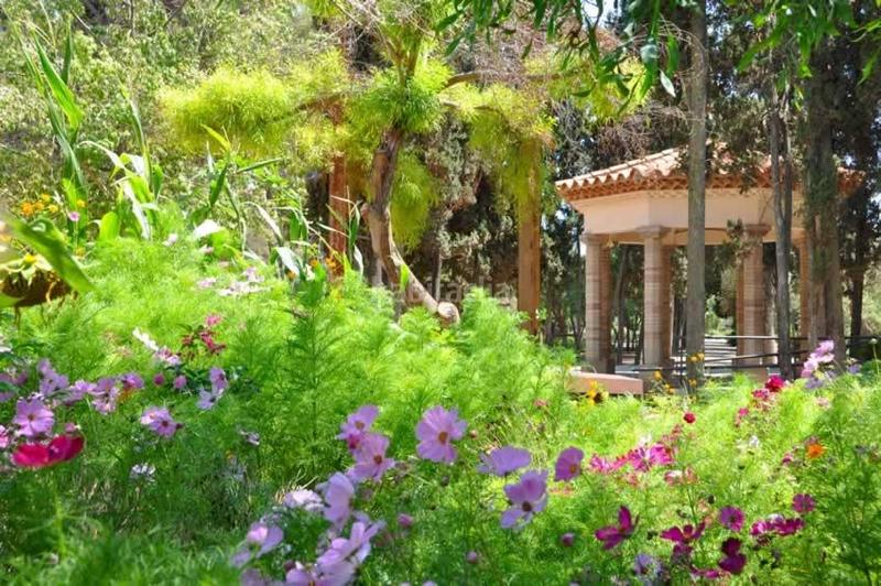 Foto a195c13c-a69f-4b92-b840-238040730416. Pis a Centre Sitges