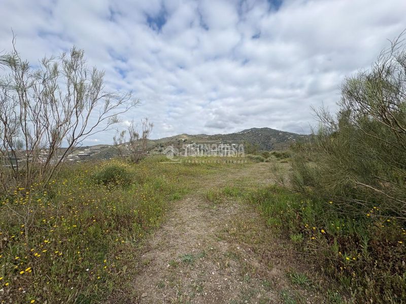 Foto 3a9cdec8-6d38-49c1-ae57-643cf8fd702f. Finca rústica a Algarrobo pueblo Algarrobo