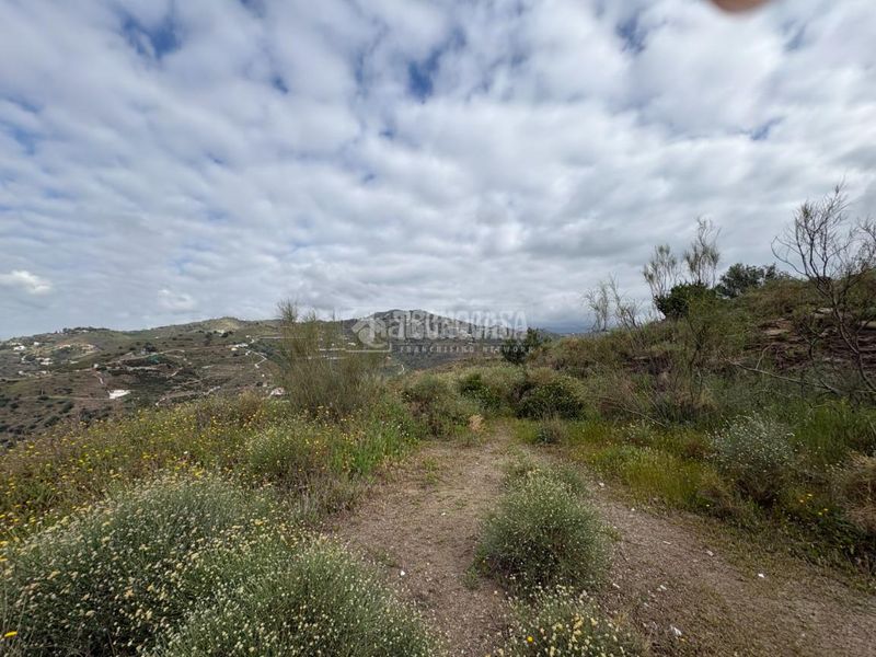 Foto 4b623e88-c36d-4c85-ad2d-361fcc98ba28. Finca rústica a Algarrobo pueblo Algarrobo