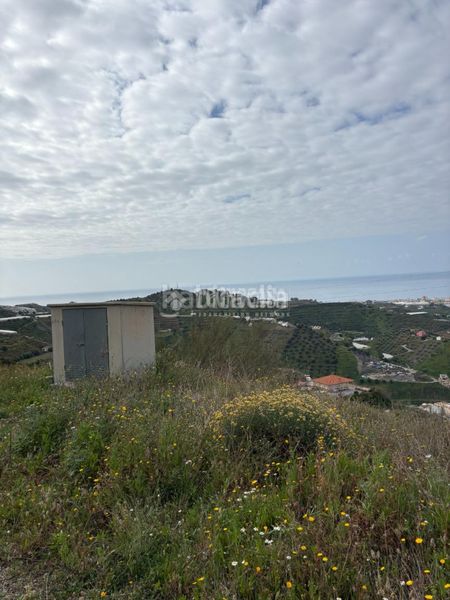 Foto 5202bbed-d24d-4d2e-adac-90417039e0d8. Finca rústica a Algarrobo pueblo Algarrobo