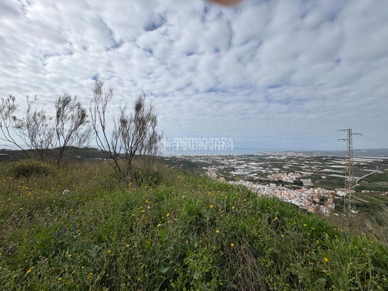 Foto 779ea786-07e7-4fda-b4d7-30e8b540ccfe. Finca rústica a Algarrobo pueblo Algarrobo