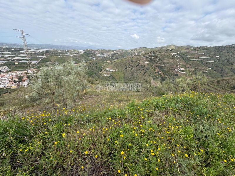 Foto 947b60ed-ab40-4eb0-8eaf-edaf99d84dd2. Finca rústica a Algarrobo pueblo Algarrobo