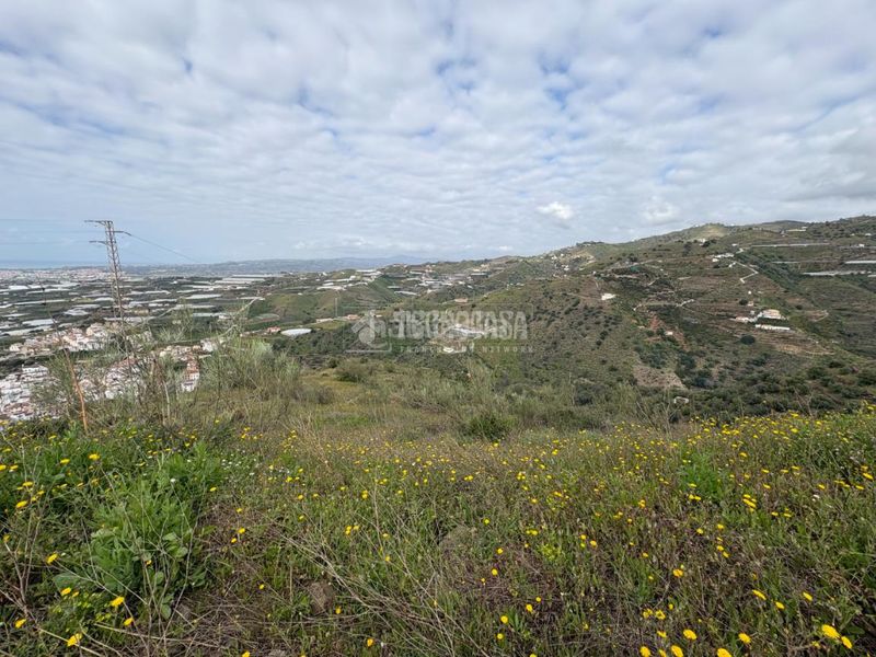 Foto ab0113ce-5018-4e15-88ef-53c2f7267586. Finca rústica a Algarrobo pueblo Algarrobo