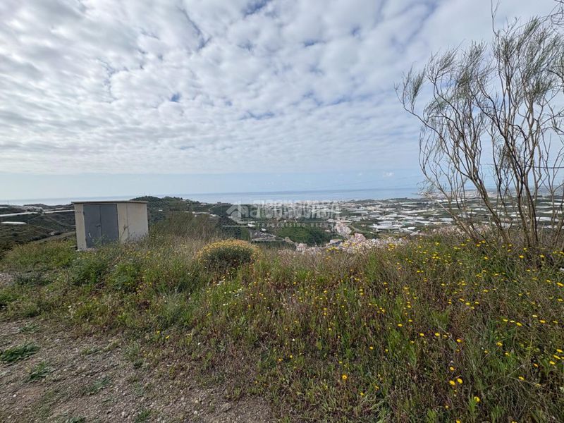 Foto d61600dc-1b14-42e1-80e6-e967b6b76d12. Finca rústica a Algarrobo pueblo Algarrobo