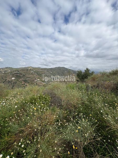 Foto db130b8c-45f6-4cef-b07b-02ae9870a5e1. Finca rústica a Algarrobo pueblo Algarrobo