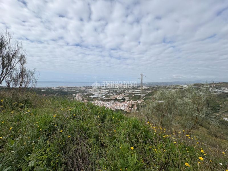 Foto db13def7-358b-4796-8922-fed1b354eee0. Finca rústica a Algarrobo pueblo Algarrobo