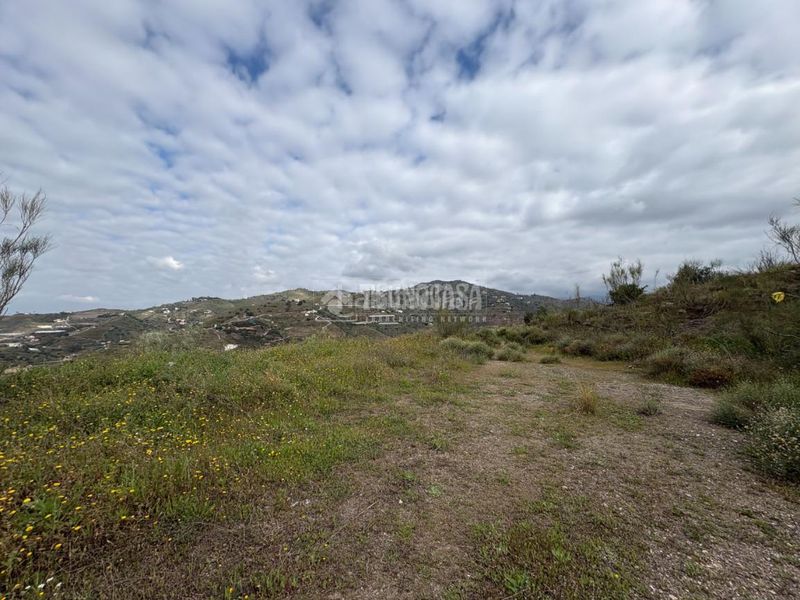 Foto efec08ec-d9b7-4205-8bc9-22f92defbc42. Finca rústica a Algarrobo pueblo Algarrobo