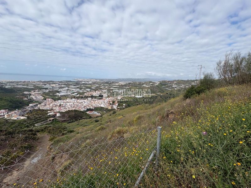 Foto fc734a77-f690-4bcd-9a73-6b3d861caf0a. Finca rústica a Algarrobo pueblo Algarrobo