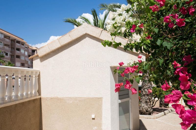 Foto 4ccad2ed-3d8b-4fc9-ad12-fee192243656. Apartament amb piscina a Los Arenales del Sol Elche / Elx