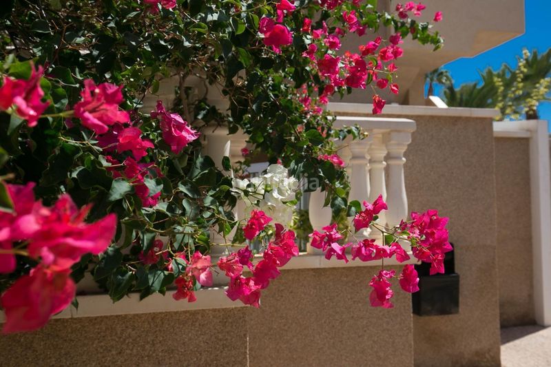 Foto b2e232f0-f2b4-454c-ac31-da810c7cea86. Apartament amb piscina a Los Arenales del Sol Elche / Elx